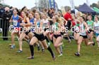 Women under-17s, National Cross Country Relays, Berry Park, Mansfield. Photo: David T. Hewitson/Sports for All Pics